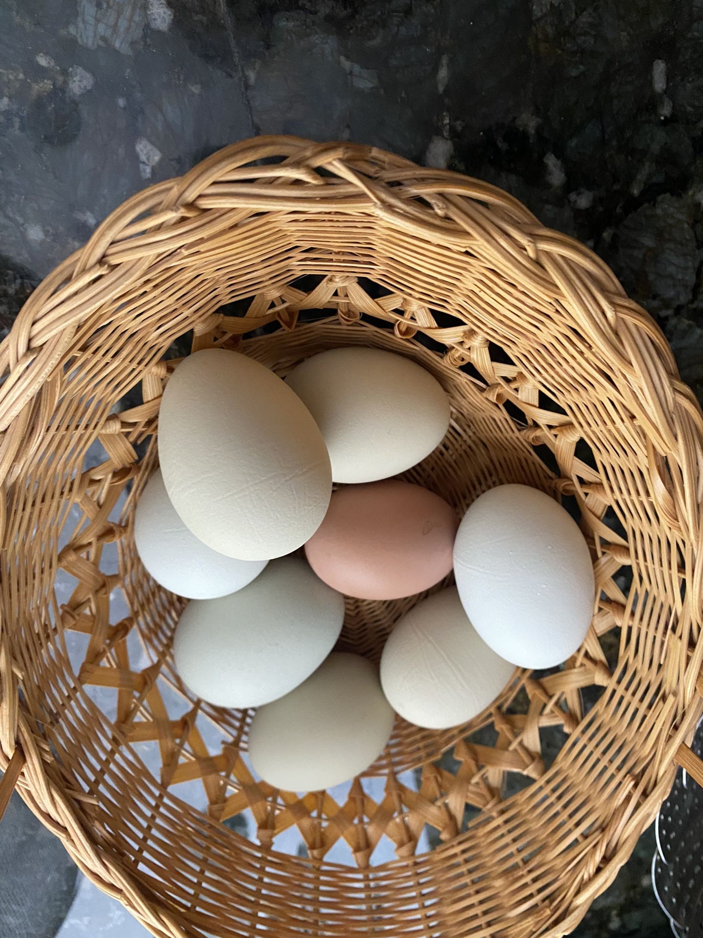 Fresh Organic Chicken Eggs For Sale