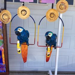 Rare Poncho Corona Parrot On A Perch