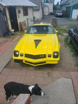 1979 Chevrolet Camaro Z28