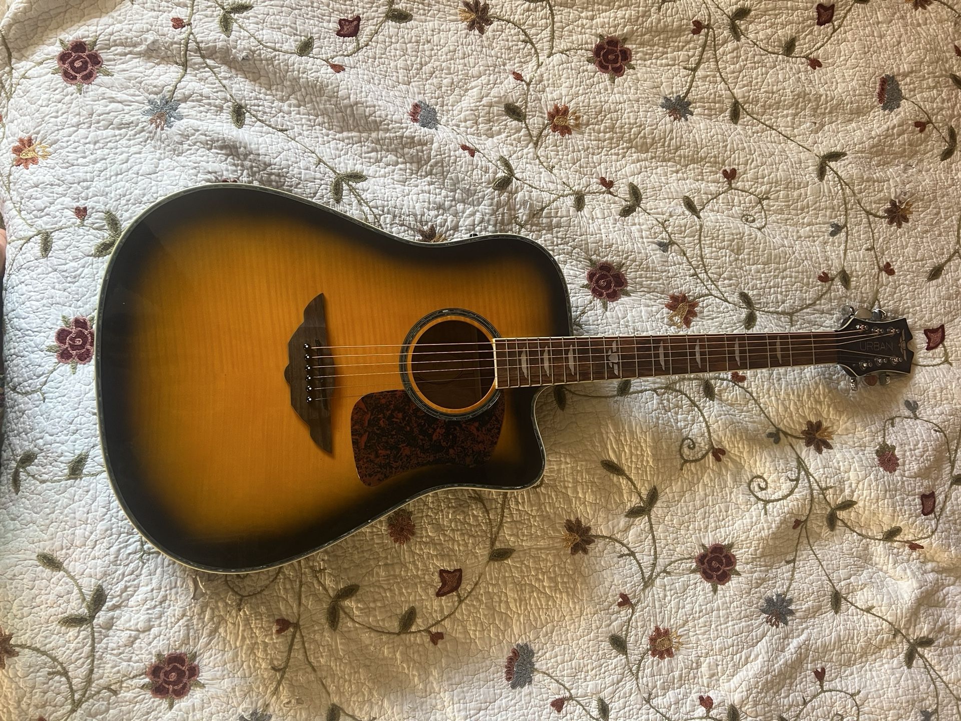 Acoustic Guitar With Case And Amp