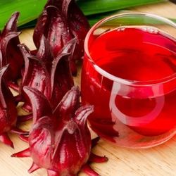 Roselle Plant In 3 Gal Plantas De Te  De Jamaica 