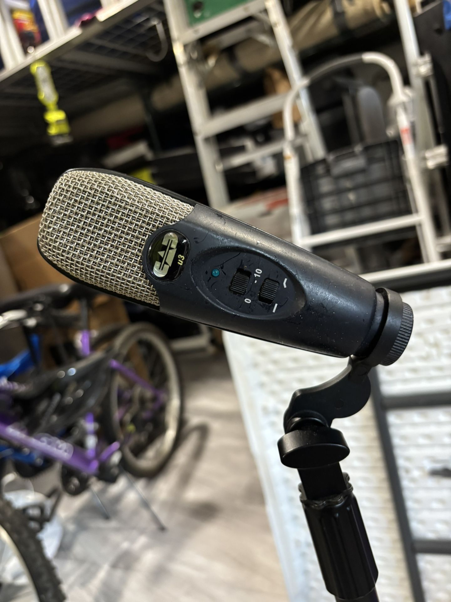 Mic And Stand