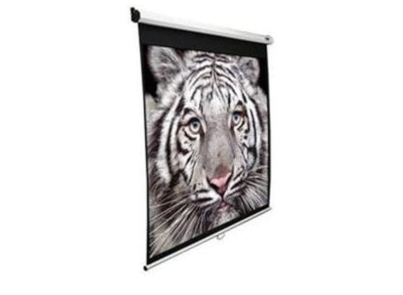 Manual Series White 135" diagonal Manual Projection Screen