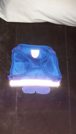 New Breathable Nylon Walking Vest for Dogs.