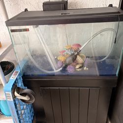 39 Gallon Fish Tank