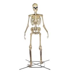 12ft Skeleton with LifeEyes LCD Eyes (BRAND NEW IN BOX)