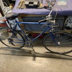 Vintage Ross 10 speed