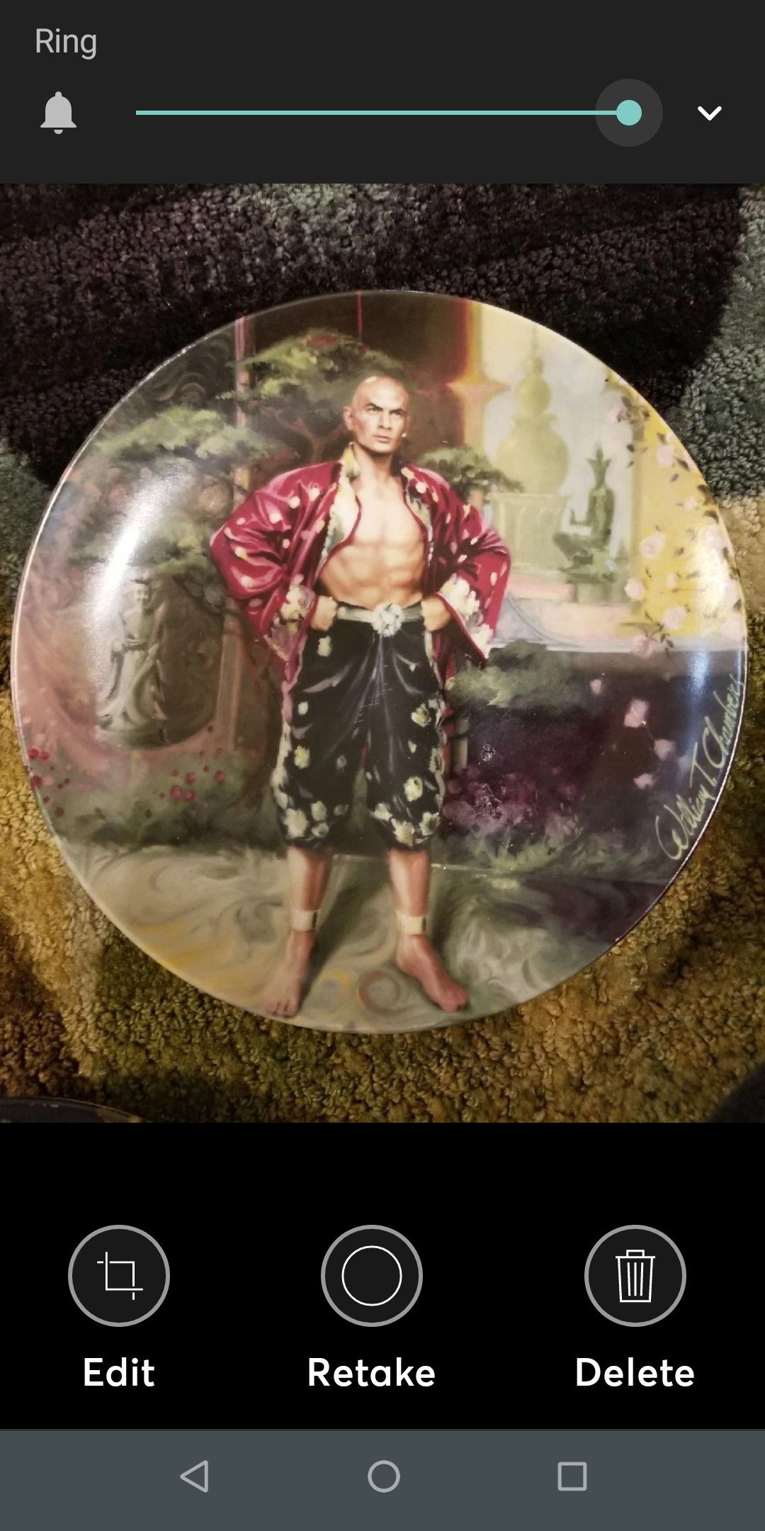 Set of 4 Collectors Plate The King & I