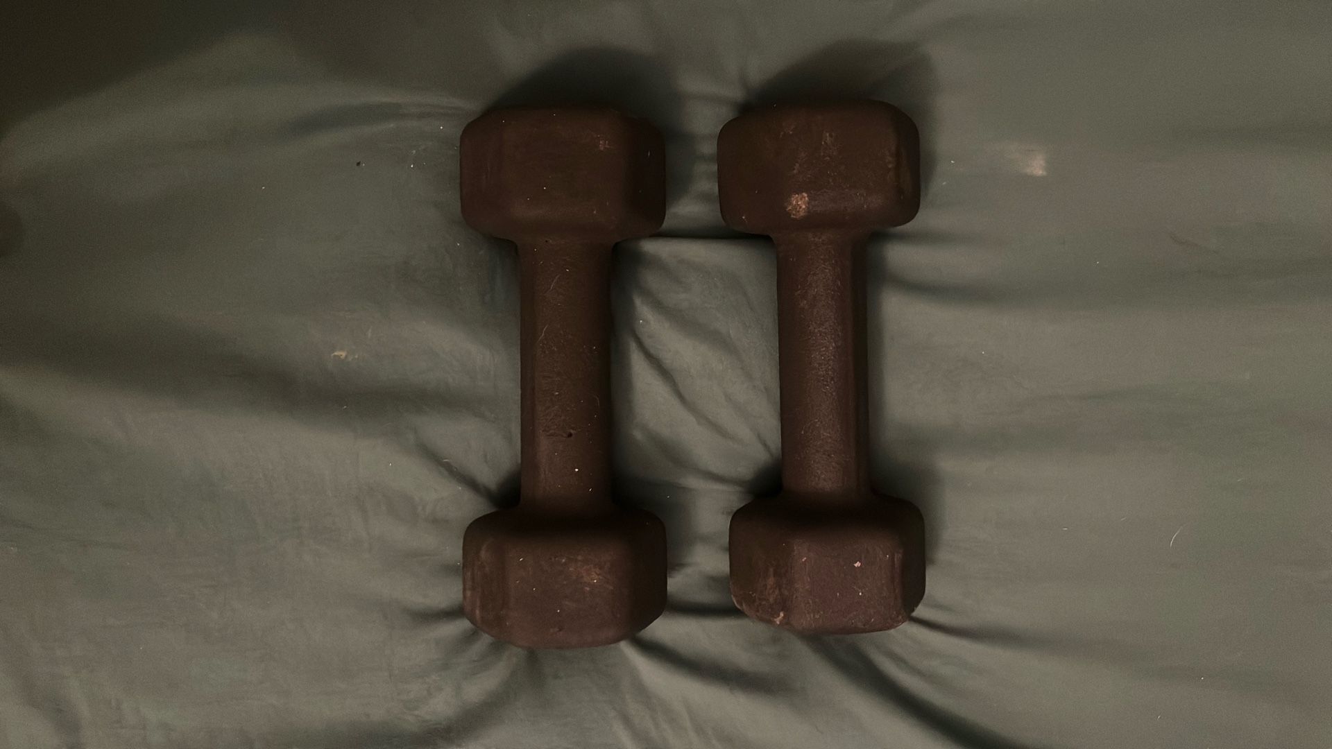 5 Lb  Dumbells