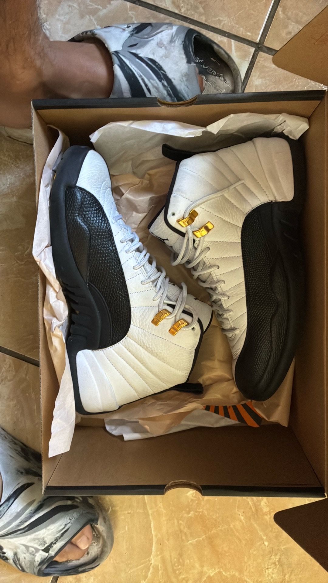 retro 12s