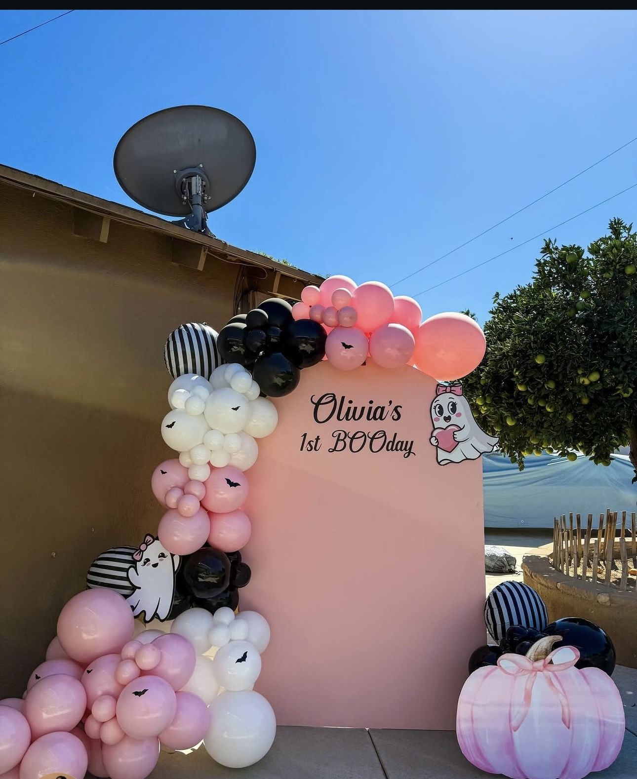 Balloon Decor