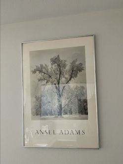 *Make an Offer* Ansel Adams Art