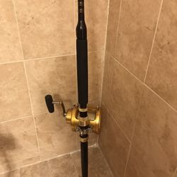 Penn International II 80STW VIS 2 Speed Fishing Reel - Gold