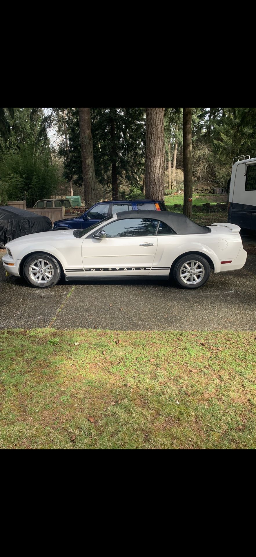 Mustang  Convertible 