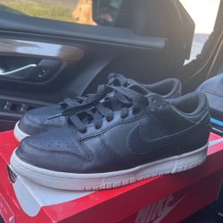 Nike Dunk Low Sz 11.5