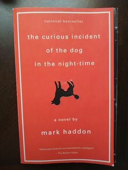 The Curious Incident of the Dog in the Night-Time