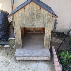 Dog House 
