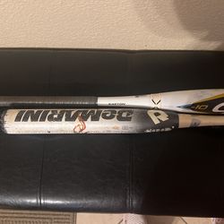 Softball Bat