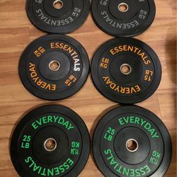 100 Pound Bumper Olympic Size Weight 