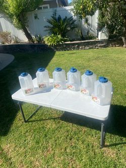 Like New 6 Set Sazon 1 Gal. Juice Containers