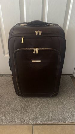 Small Brown carry on