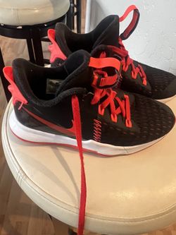 Lebron James Basketball Shoe