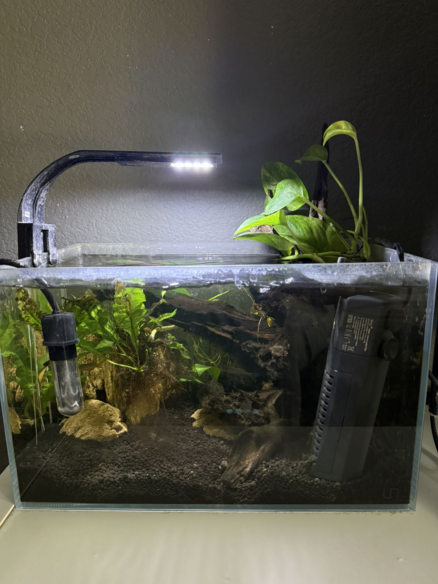 UNS 5 Gallon Aquarium 