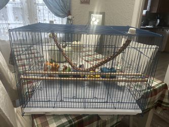 Bird Cage With Perches And Cover 