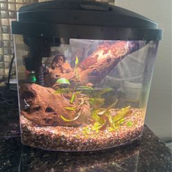 2.5gal Aquarium