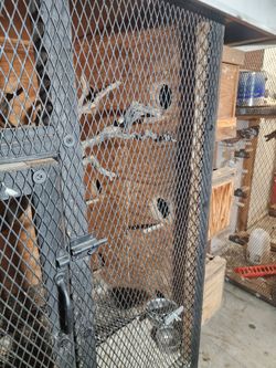 Brid cage