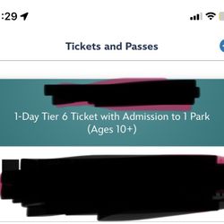 Disney Ticket 