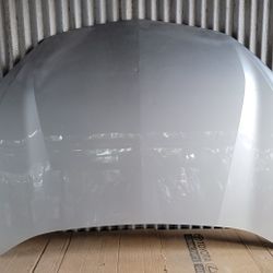 2019-2025 Chevy Blazer Front Hood OEM 