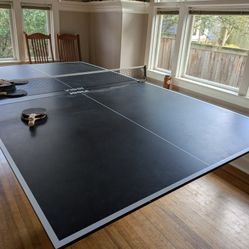 Joola Table Tennis (Ping Pong) Conversion Top
