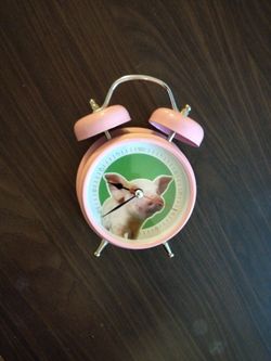 Piggy Alarm Clock