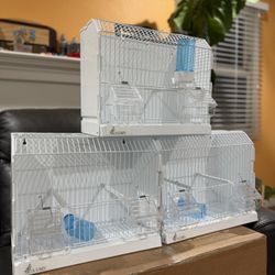 Show Bird Cages 