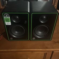 Speakers & Microphone 