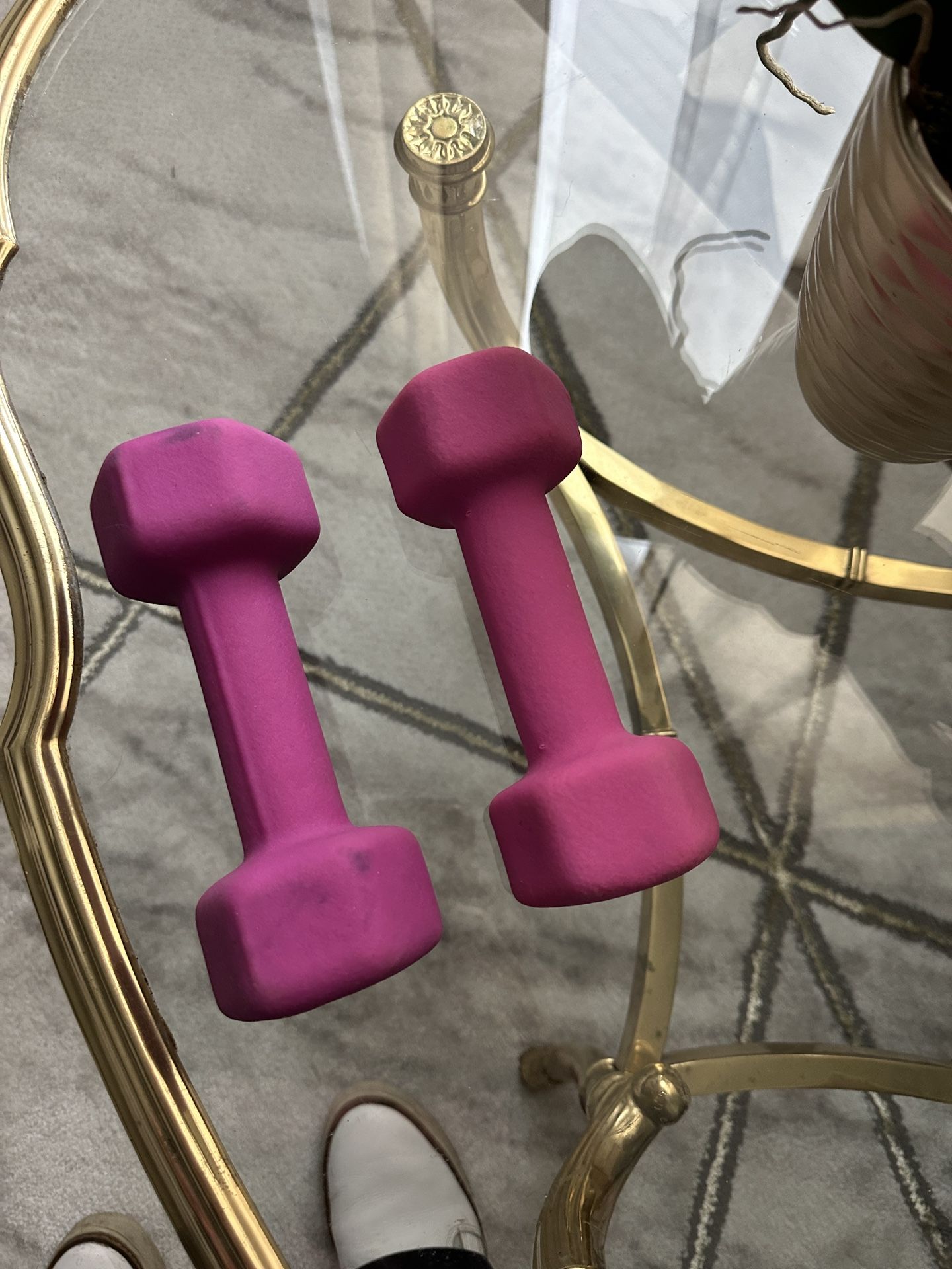 5 Lb Dumbbells/weights Set