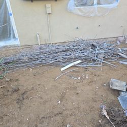 Free  Metal Lake Forest 