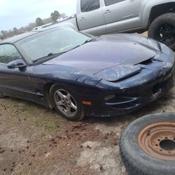 I Have 98 Pontiac Grandam Firebird 5.7 Whit Rebuild Transmission 16 Month Warranty 6000 Dllrs OBO