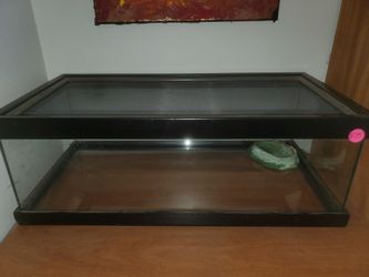 10 Gallon Reptile/amphibian/invertebrate