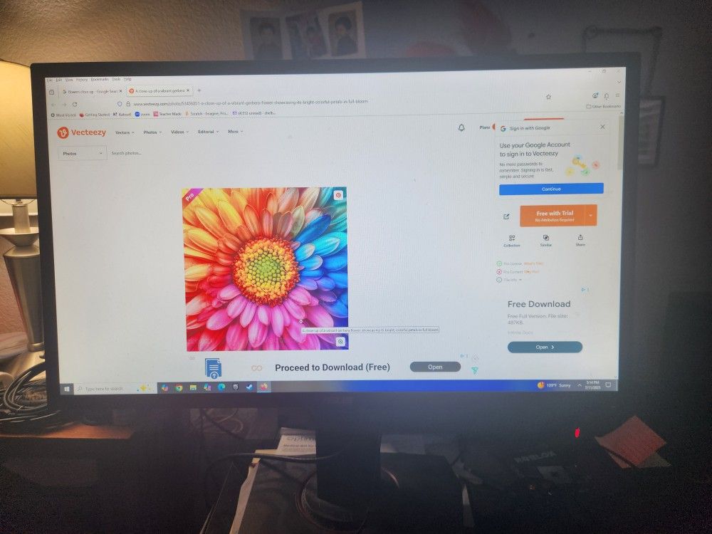 24 Inch Asus Gaming Monitor