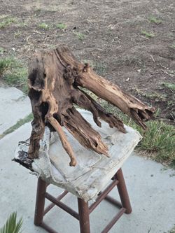 Aquarium driftwood