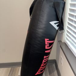 Everlast Punching Bag — Like New 