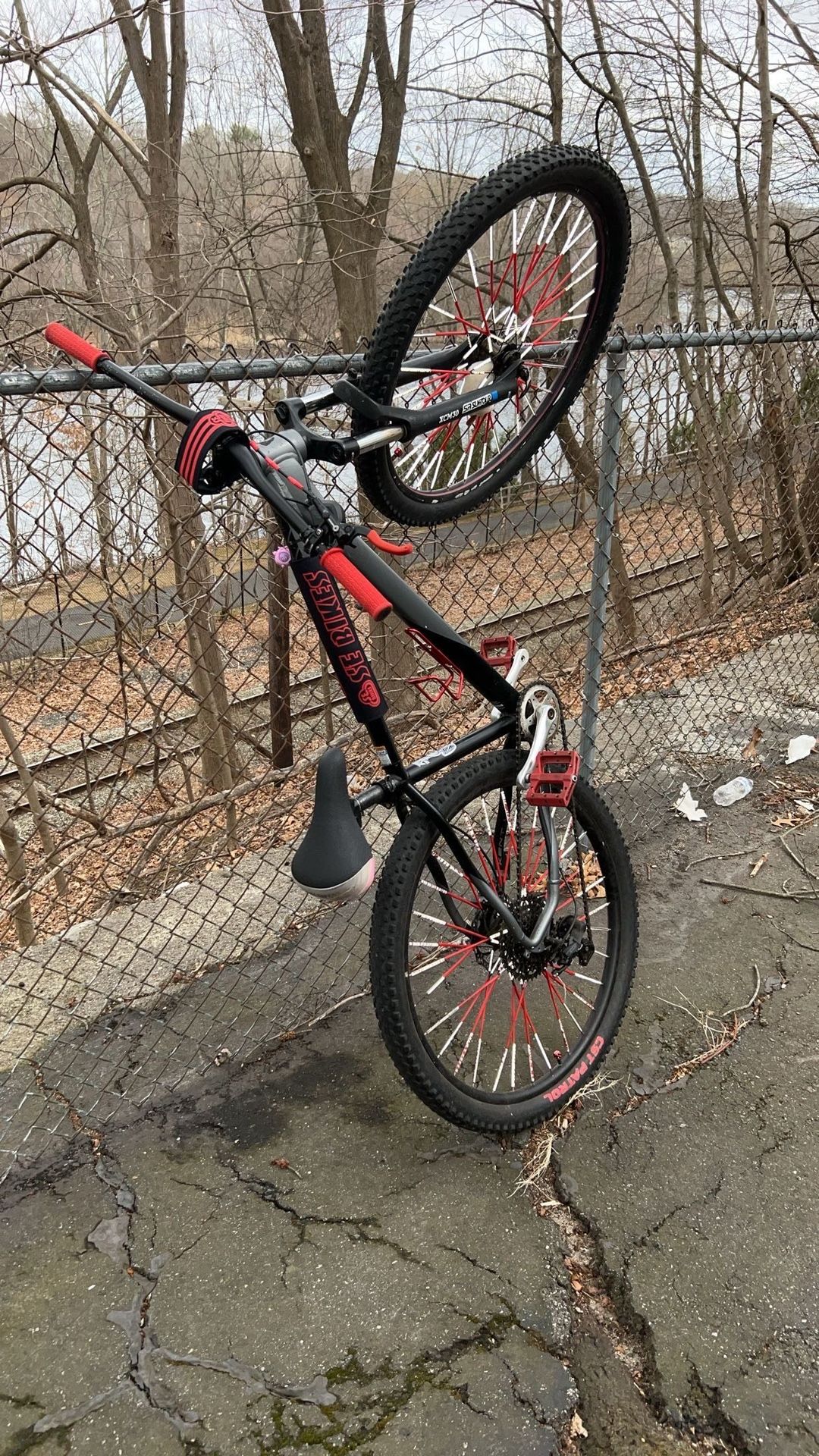 Custom Wheelie Mntn Bike