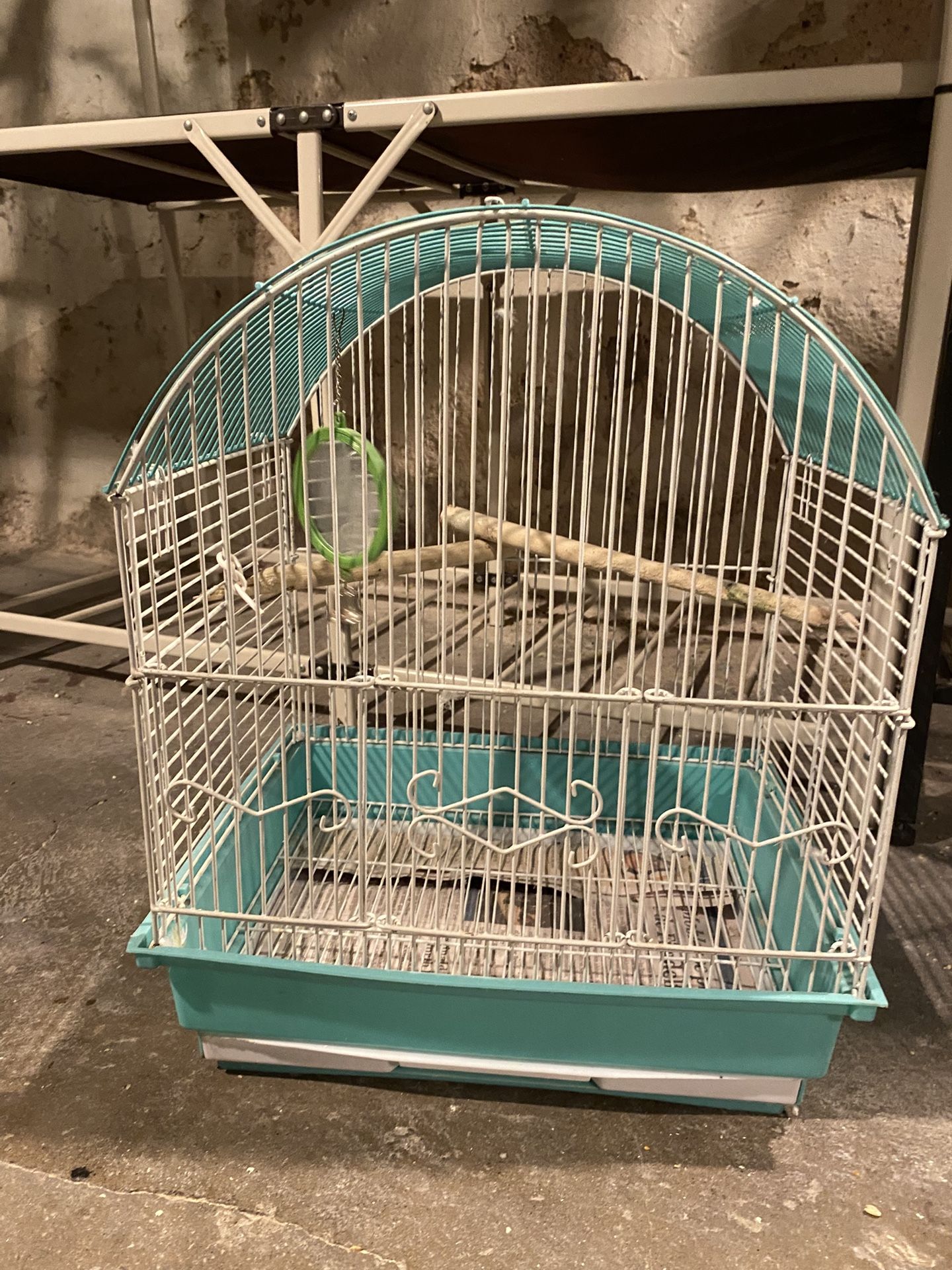 Bird Cage
