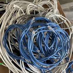 Used Cat 6 Jumpers