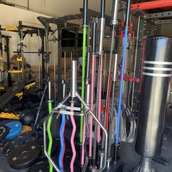 Barbells, Curl Bars, Hex Bars