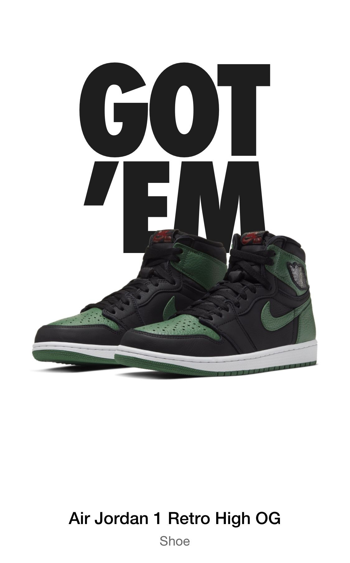 Nike Air Jordan 1 High OG pine green