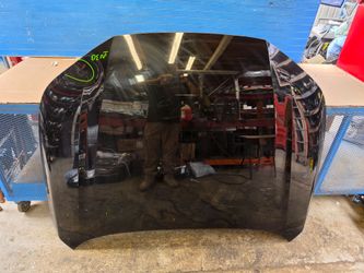 Accord 2023 2024 2025 2026 hood
