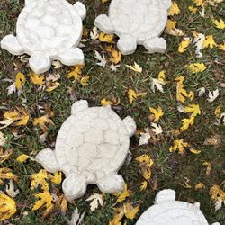 Concrete Turtle Stepping Stones $10 Each
